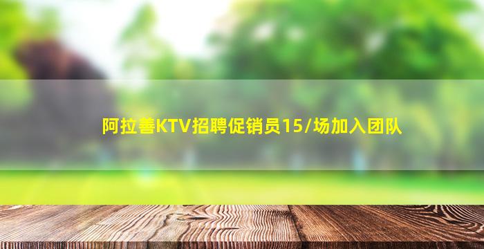 阿拉善KTV招聘促销员15/场加入团队